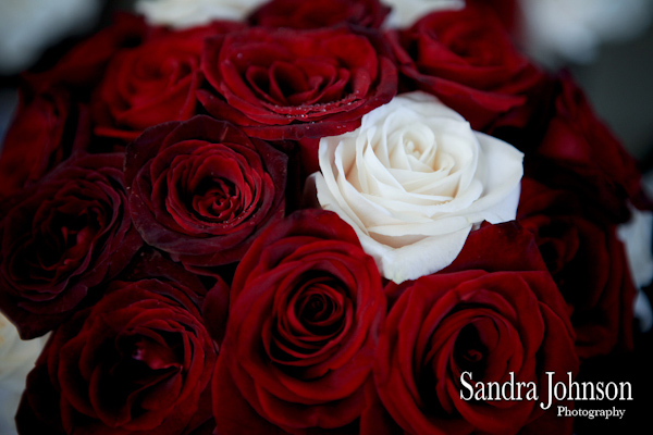 Best Annunciation Catholic Wedding photographer - Sandra Johnson (SJFoto.com)